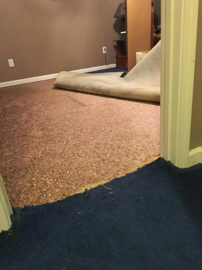Carpet pad removal revealing water damage during Drying & Dehumidification in West Fargo